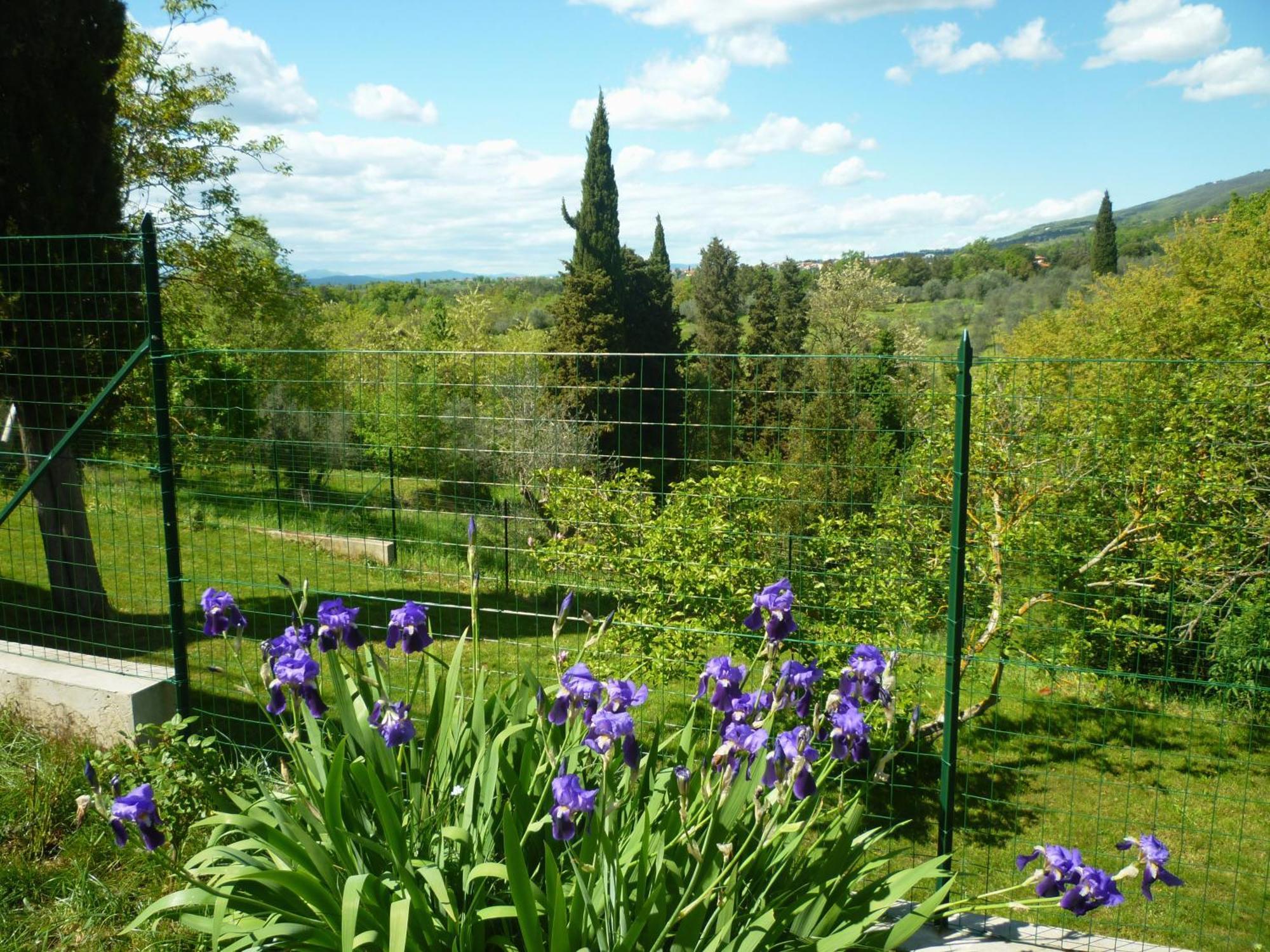Casa Giulia Villa Reggello Rum bild