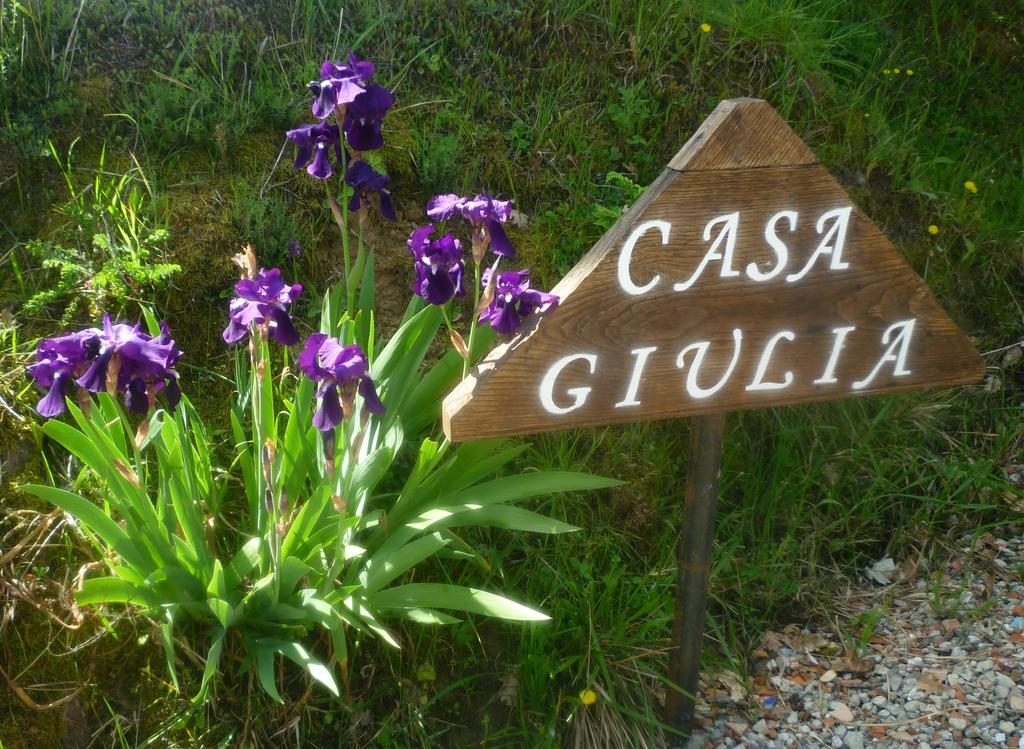 Casa Giulia Villa Reggello Exteriör bild