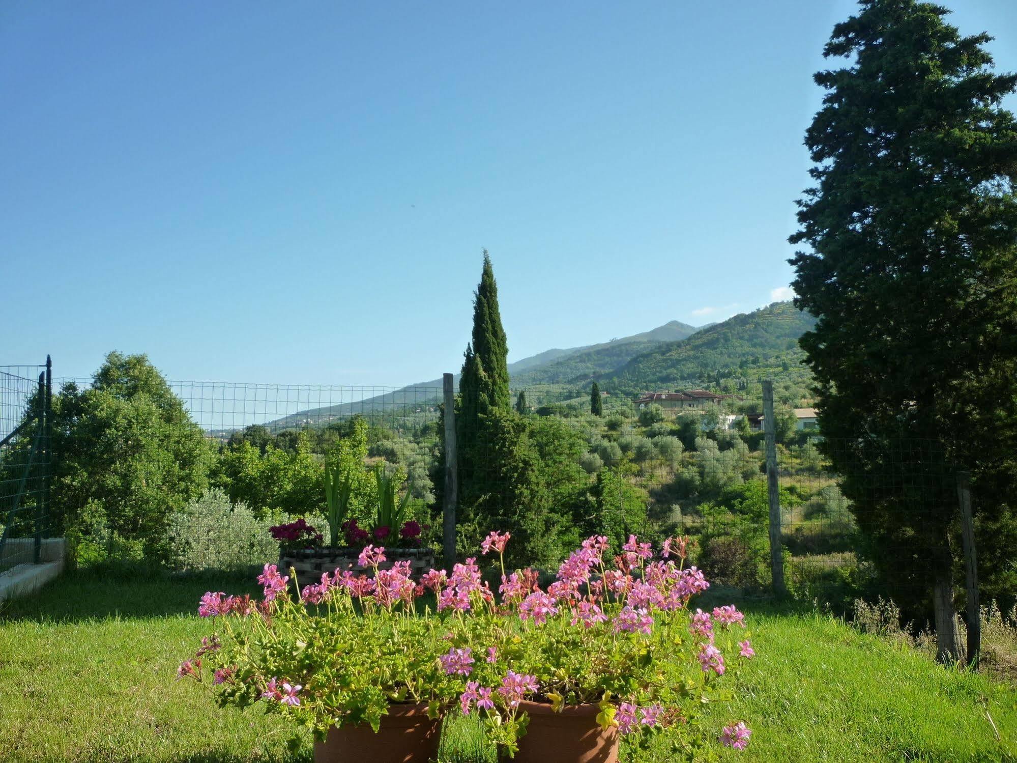 Casa Giulia Villa Reggello Exteriör bild